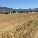 Podere Le Volte Degli Angeli דירה ספלו
