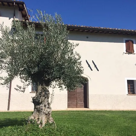 Апартаменты Podere Le Volte Degli Angeli