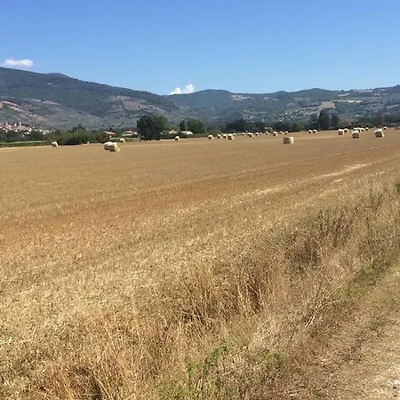 Podere Le Volte Degli Angeli Appartamento Spello