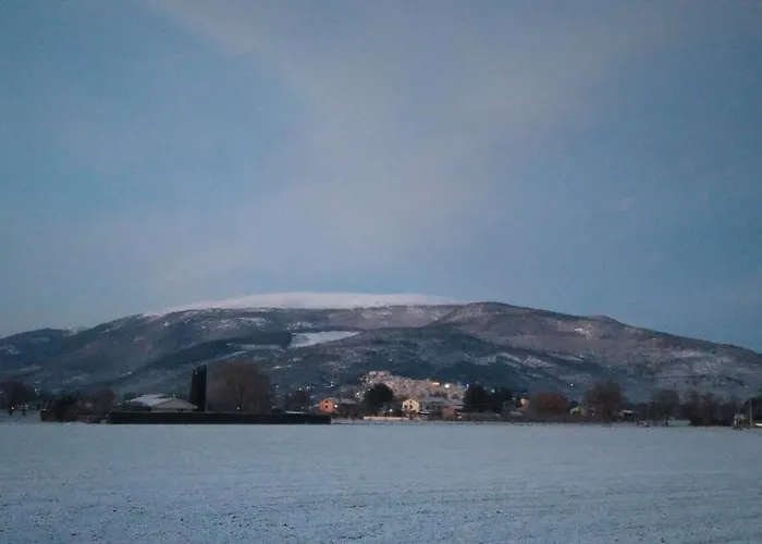 Podere Le Volte Degli Angeli شقة سبيلّو